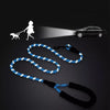 150/200/300cm Strong Dog Leash Pet Leashes Reflective Leash - Luvpaws