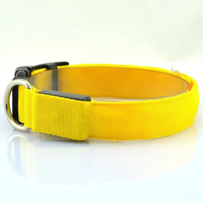 Adjustable LED Dog Collar - Luvpaws