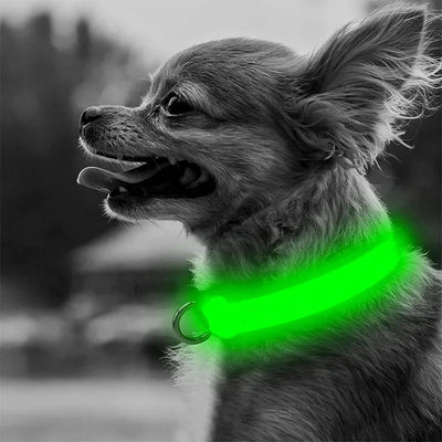 Adjustable LED Dog Collar - Luvpaws