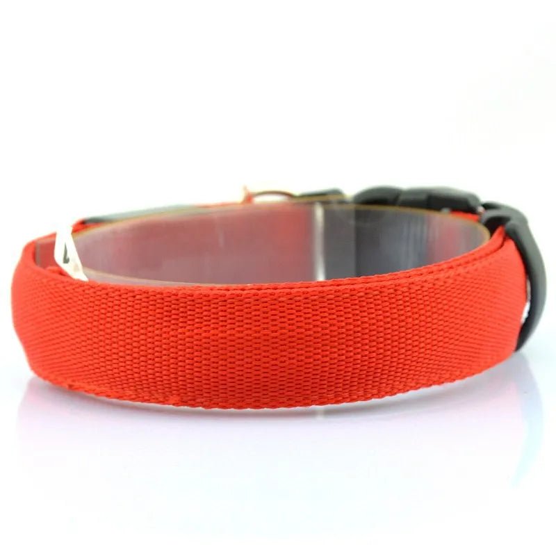 Adjustable LED Dog Collar - Luvpaws