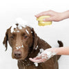 Bathroom Puppy Big Dog Cat Bath Massage Gloves Brush Soft Safety Silicone. - Luvpaws