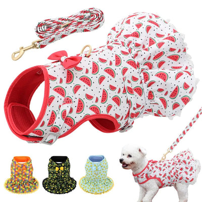 Cute Printed Dog Harness and Leash Set - Luvpaws