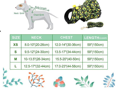 Cute Printed Dog Harness and Leash Set - Luvpaws