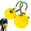 Dog Ball Toy with Rope Indestructible Interactive Dog Toy Pet Training. - Luvpaws