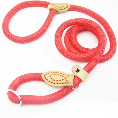 Heavy-Duty Braided Rope Dog Leash - Luvpaws