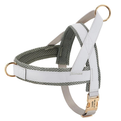 Personalized No-Pull Dog Harness - Luvpaws