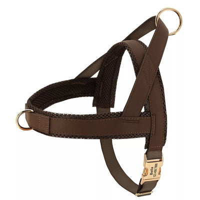 Personalized No-Pull Dog Harness - Luvpaws