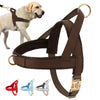 Personalized No-Pull Dog Harness - Luvpaws