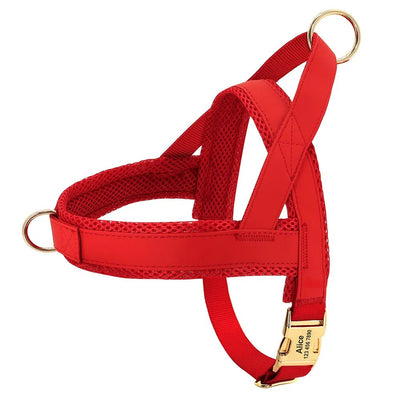 Personalized No-Pull Dog Harness - Luvpaws