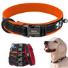 Reflective and Engraved Collar for All Dogs - Luvpaws