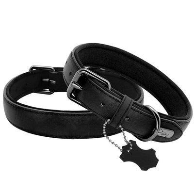 Soft Padded Leather Dog Collar - Luvpaws