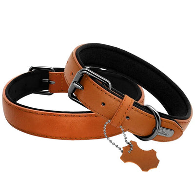 Soft Padded Leather Dog Collar - Luvpaws