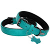 Soft Padded Leather Dog Collar - Luvpaws