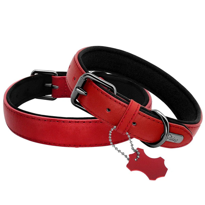 Red Padded Leather Dog Collar