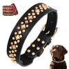 Spiked Studded Leather Dog Collar - Luvpaws