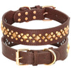 Spiked Studded Leather Dog Collar - Luvpaws