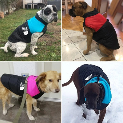 Winter Vest Padded Zipper Jacket Dog Clothing for Small Medium Big Dogs The Dog Face Outfit - Luvpaws